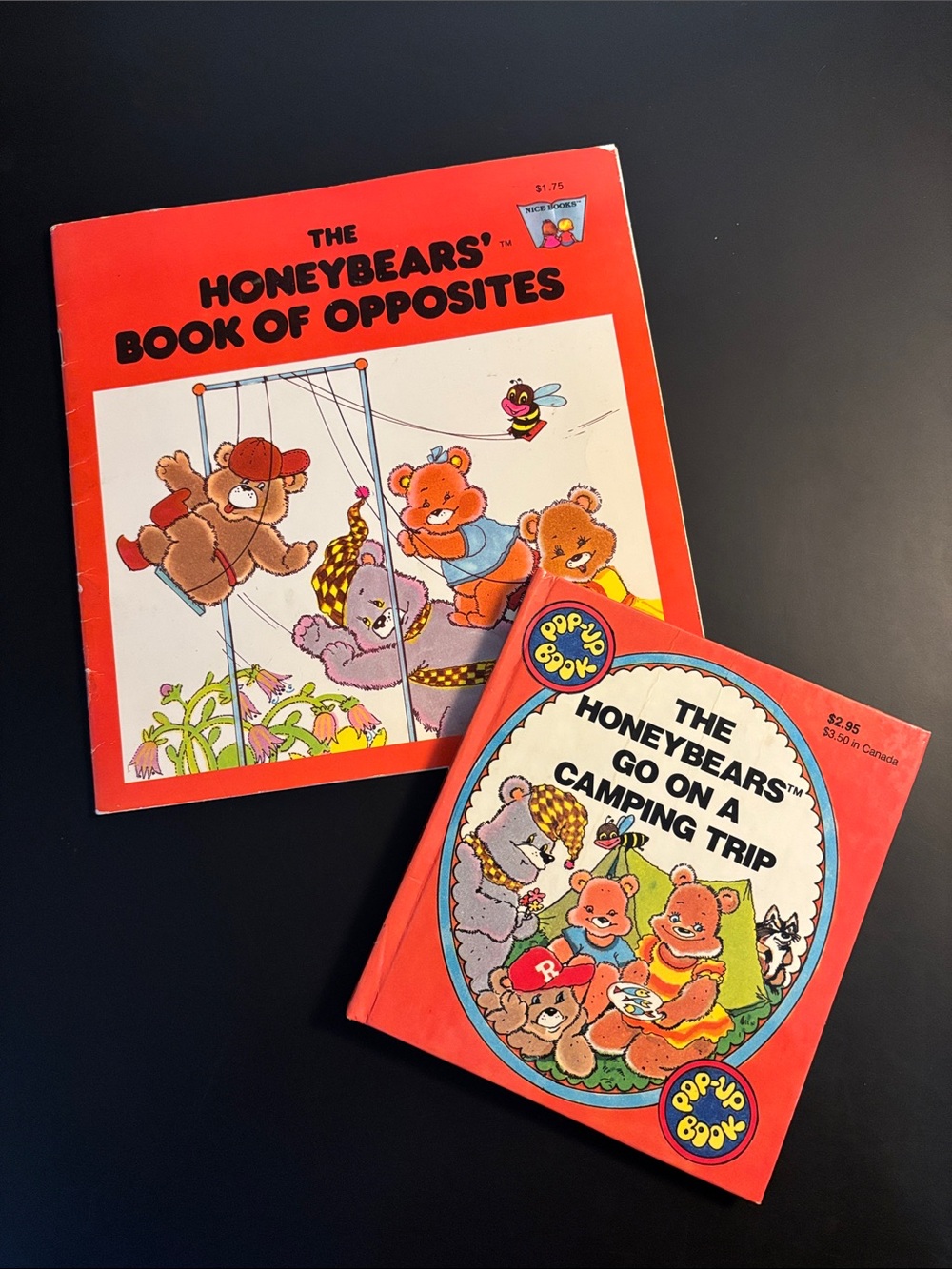 Vintage 80’’s The Honeybears The Book of Opposites & Go On A Camping Trip Pop Up